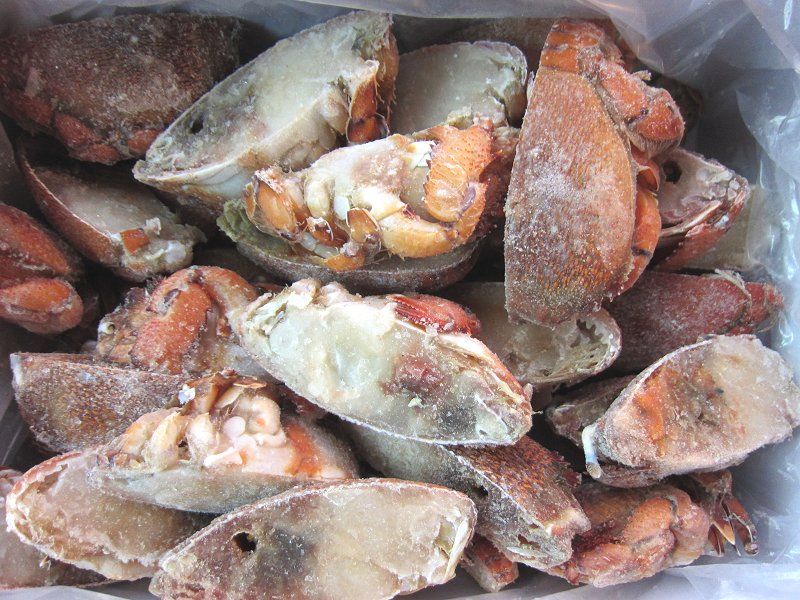2箱,珍品珍味「旭蟹 2kg」ハーフカット/40片前后 spanner crab