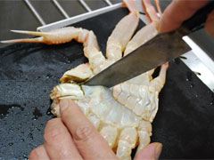 �ᏼ�t�����΂��P