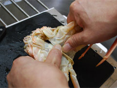 �ᏼ�t�����΂��Q