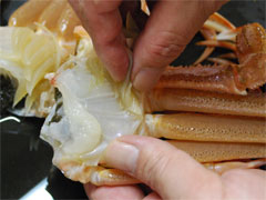 �ᏼ�t�����΂��R