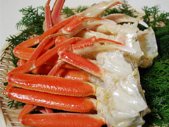 �ᏼ�t����ł�Q